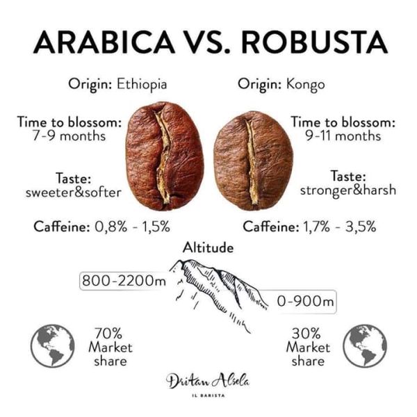Arabica-vs-Robusta